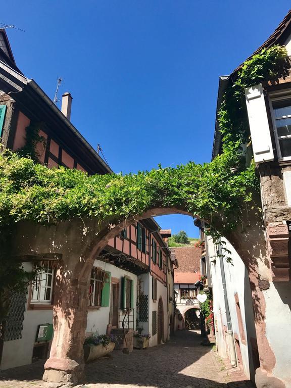 Les Authentics - La Maison d'Amélie Riquewihr Extérieur photo
